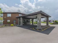 Comfort Inn Hotels in Levis