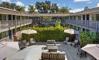 Best Western Shadow Inn