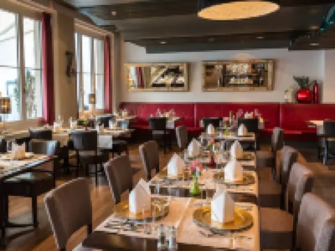 克羅嫩霍夫酒店 沙夫豪森酒店