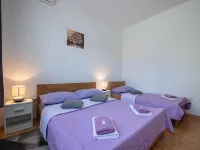 Room Anton - Pet friendly