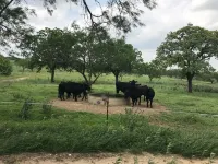 The Ranch@Fredericksburg - Carriage House - 1BD/1BA - 샬레 호텔