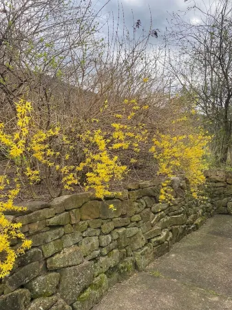 Large, Beautiful Mid Century Mountain House.....