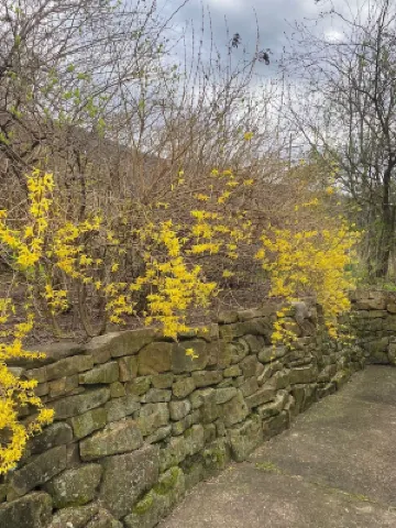 Large, Beautiful Mid Century Mountain House.....