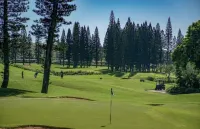 Walk to the Kapalua Beach, New Bespoke Luxury Golf Villa, Ocean & Golf Views