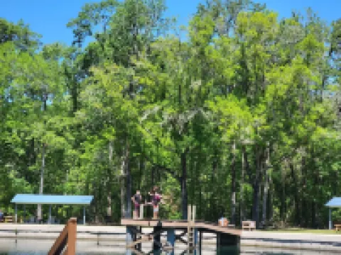 Country acre of quiet, calm, safe retreat. Near Devils Den Prehistoric Spring