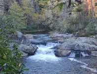 Cute cabin next to Pisgah National Forest; Hot tub Wi-Fi