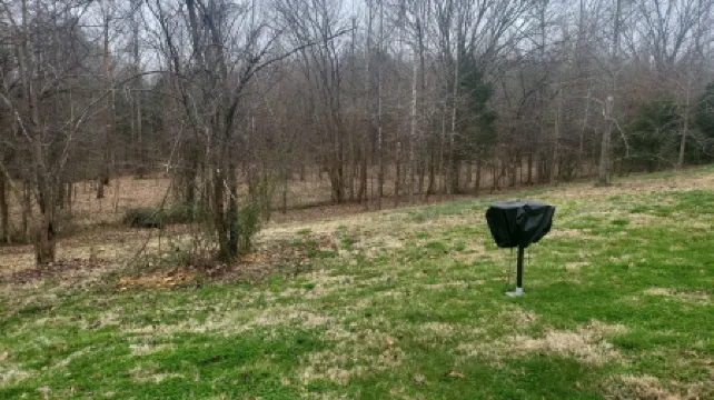 Cabin 8 Fish Island Resort Cozy stand alone cabin close to Lake Barkley