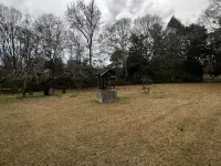 Clean & Cozy Cabin in the Woods