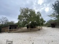 Gite Champêtre de Caractère au Mas Arnaud Équipée D'un Spa,et Accès à la Piscine
