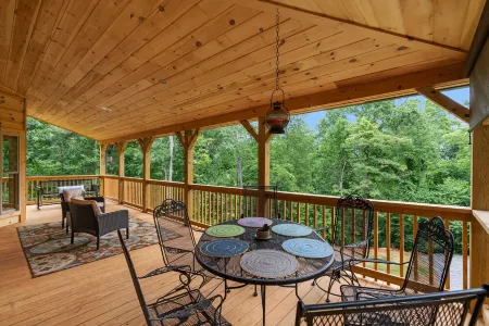 Gorgeous CABIN! Huge Deck, Mountain Views,12 min to Dwtn AVL!!!
