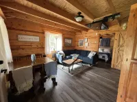 Cabin Directly Across from Kinzua Lake & Onoville Marina