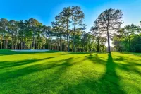 Cottage on the Canal minutes from Ocean City, Assateague Island and Ocean Downs