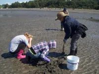 Cozy Step-Free House Near the Downtown Waterfront & Ferry