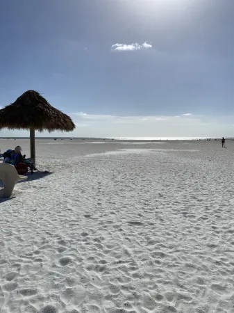 Marco IslandOn the Island” Pool/Spa/Waterfall Oasis Gorgeous Tropical Home Отели рядом с достопримечательностью «Марко Айленд Бич»