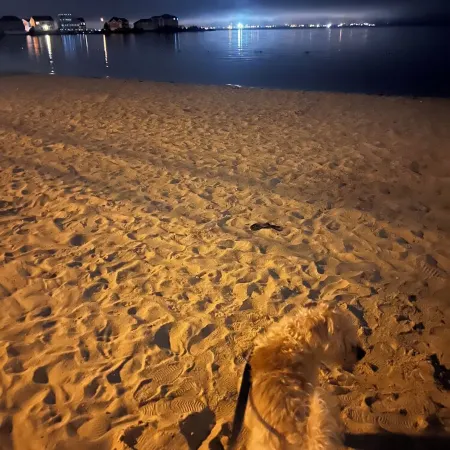 Steps from the beach! Come sail away! Отели в г. Беркли