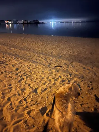 Steps from the beach! Come sail away! Отели в г. Беркли