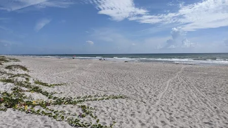 Perfect Beach Location - Spacious, Modern Cottage Отели рядом с достопримечательностью «SSlater Surf Tackle»