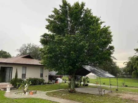 Orlando 1 Acre 4 BD Home Central Near Universal Отели в г. Орло-Виста