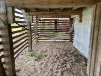 Koko’s Cabana- Walk to Everything!  Beach, Shopping, Restaurants, Mini Golf 킬데빌힐스 호텔