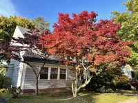 Beautiful Highland Park home; fast internet-close to Brighton,