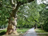Fewo Malzmönch in Top-altstadtlage von Zittau Hotels in Zittau