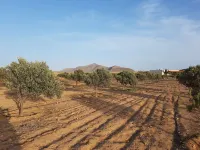 House with pool between gardens and olive farm. Hotels in Maxorata