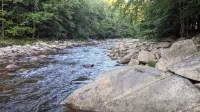 White Mountain scenic river camp with cozy cabin