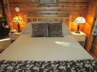 Log Cabin on 6 beautiful acres.