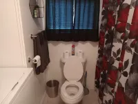 Chippewa Lake MI Enjoy a View with  Shared Access to the Lake. Affordable!