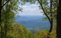 Little Bear: 4br/ 4ba, mountain & valley view. Pet friendly!
