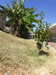 BEAUTIFUL COTTAGE WITH FULLY ENCLOSED FARM 5 KM FROM PADRÓN Отели рядом с достопримечательностью «Herbon»