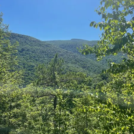 Junebug Cottage: peace, love and privacy a short walk to Woodstock village green