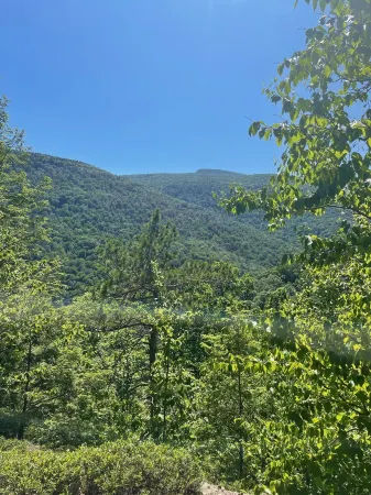 Junebug Cottage: peace, love and privacy a short walk to Woodstock village green