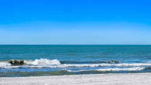 Private Beach Access Rated #1 in Florida /Pets Welcome with Fee