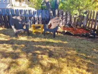 Tranquil Updated Mill House with backup power and hi speed Wifi!