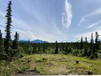 Now Taking Reservations for 2026-2027 Season at" the Cottage at Dry Creek1 Hotels in Healy