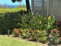 Newly Remodelled 4-bedroom cottage in Amazing Kaanapili with ACs