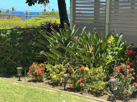 Newly Remodelled 4-bedroom cottage in Amazing Kaanapili with ACs