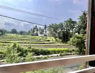 Paddy View by Zzz Hotels in Glagah
