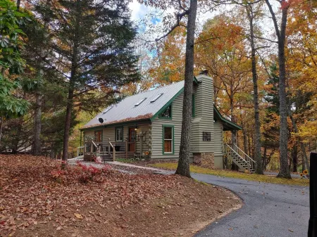 Cozy Cabin on 4 Acres of Fun! Pavilion, Firepit, Swing, Walking Trail to Creek!
