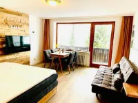 Renovated 1-room apartment