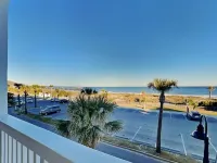 Dolphin Watch 7