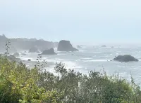 Chalet in the Majestic Redwoods 5 mins to Redwood National parks & Smith River.