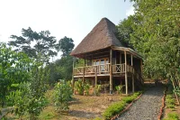Bugoma Jungle Lodge Hotels in Buhaguzi