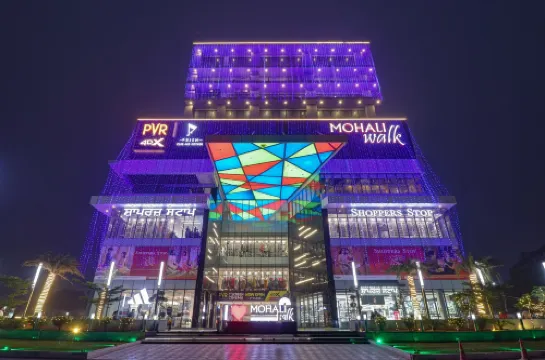 Saltstayz Premier - 莫哈利昌迪格