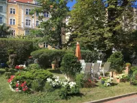 Residence Dykova - Former Pension Jana, Domov Mládeže