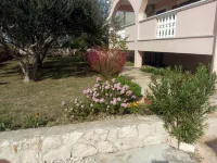 Apartment Lola - Homestays