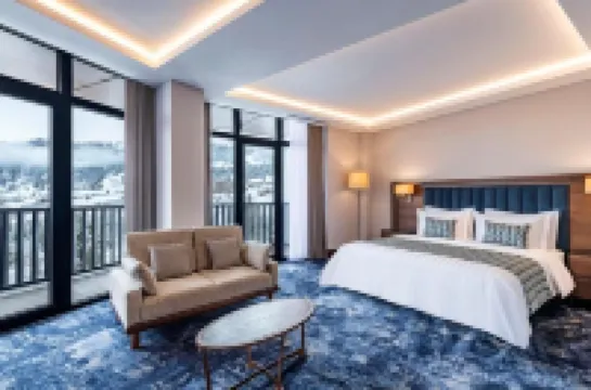 Ambassadori Goderdzi Hotel Hotels in 