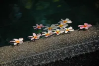 Ocean Villas Hotel - spa