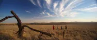 Elewana Lewa Safari Camp Hotels in Timau